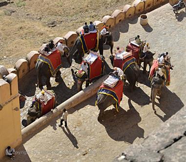 04 Fort_Amber_and Elephants,_Jaipur_DSC5128_b_H600